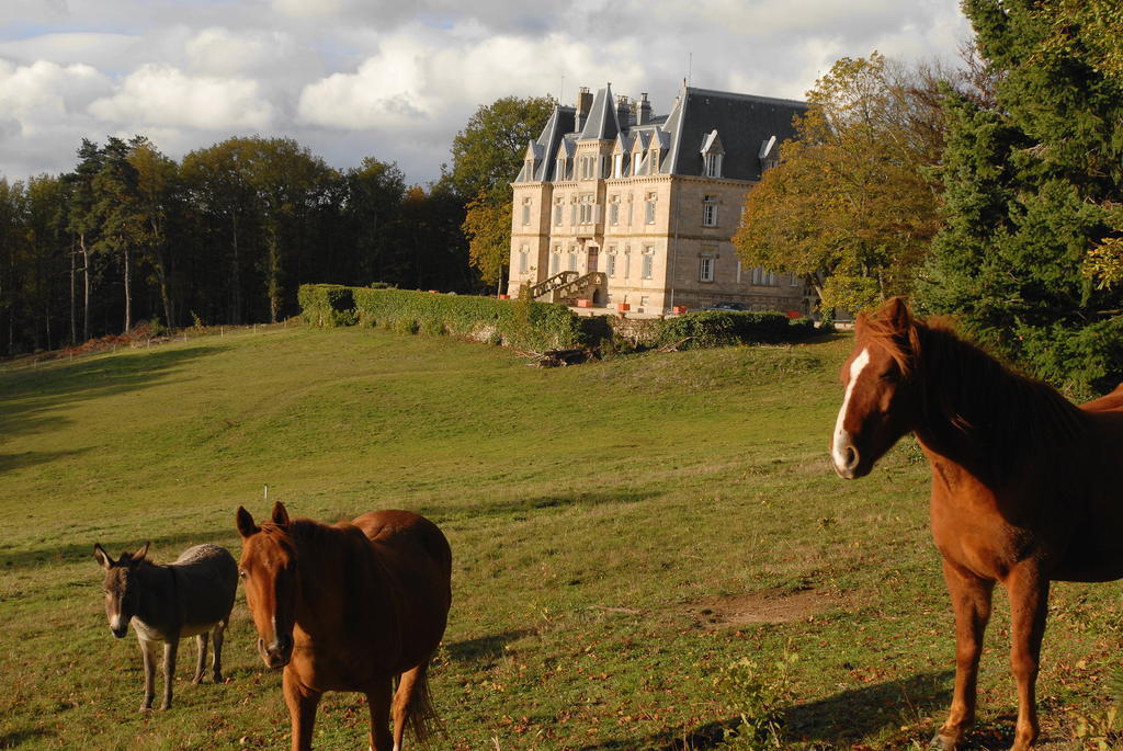 Chateau Des Faugs Hotel Boffres Kültér fotó